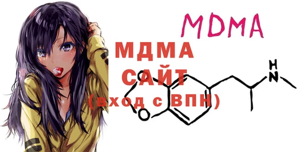 МДПВ Бородино