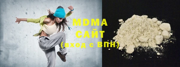 МДПВ Бородино