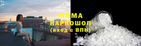 МДПВ Бородино