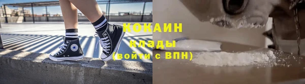 МДПВ Бородино