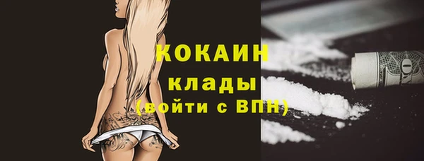 МДПВ Бородино