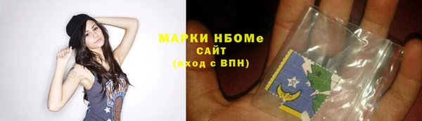 МДПВ Бородино