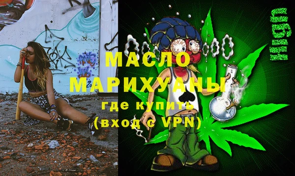 МДПВ Бородино