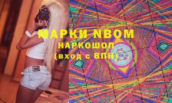 МДПВ Бородино