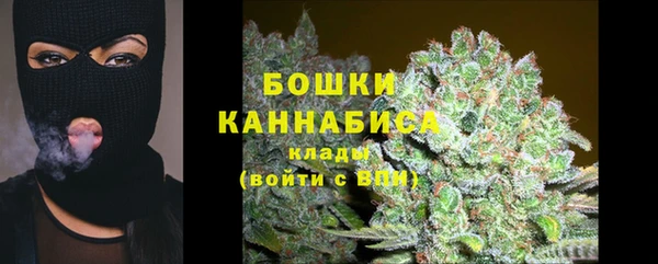 гашик Бронницы