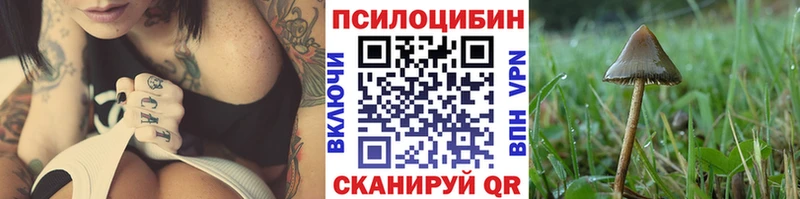 купить  сайты  Елизаветинская  Галлюциногенные грибы ЛСД 